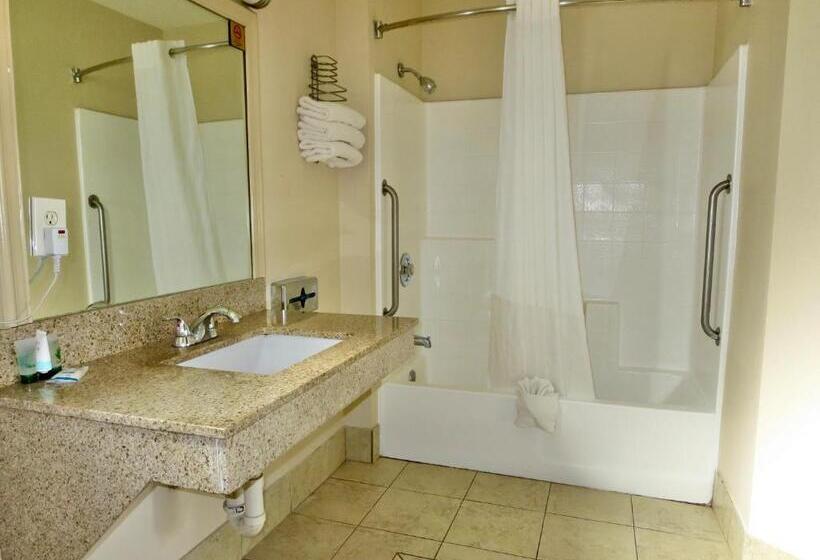 带大床的标准工作室, G T Hotels Inn & Suites Extended Stay
