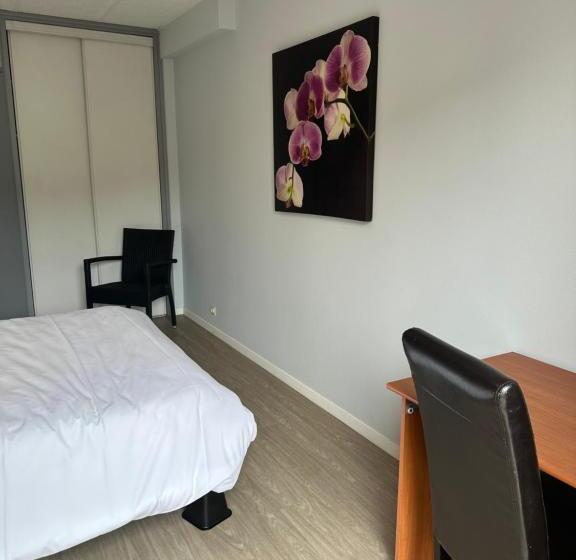 Номер Стандарт Адаптированный для Инвалидов, Hôtel Foulquier