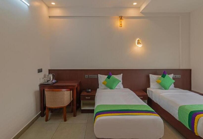 اتاق استاندارد, Treebo Amigos Residency