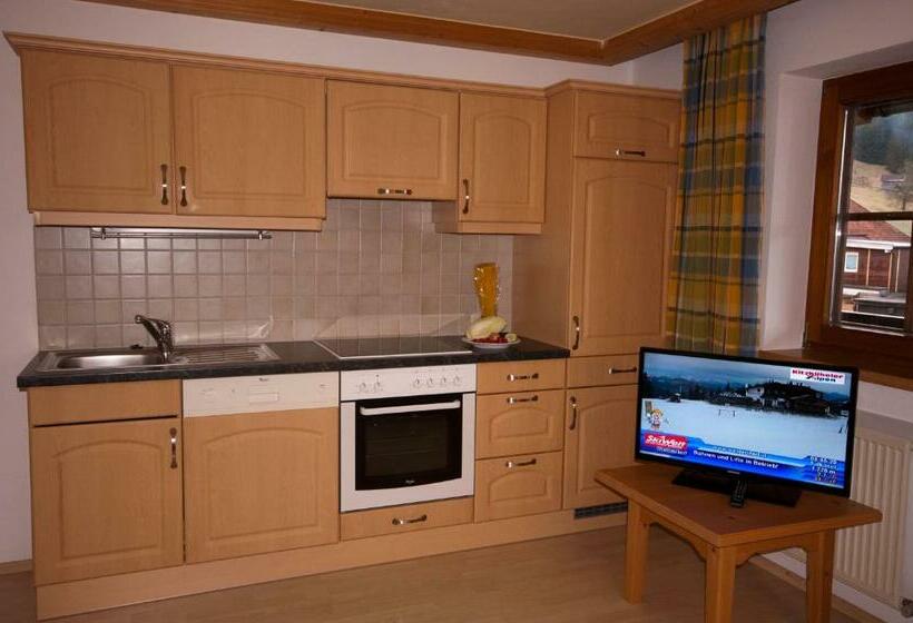 Апартаменты 1 Спальня с Балконом, Activ Wellness   Appartement Schermerhof
