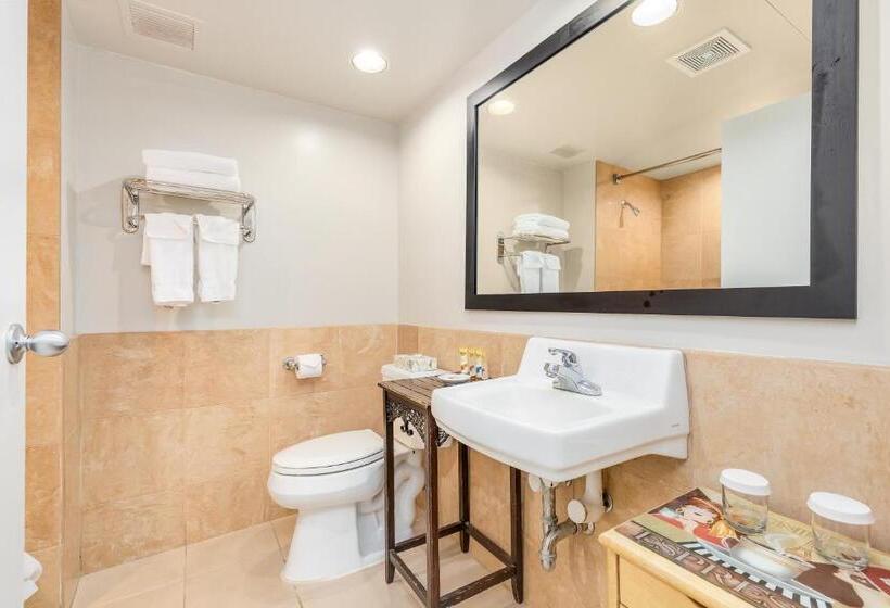 استودیو استاندارد با تخت کینگ, Castle At Palms At Waikīkī