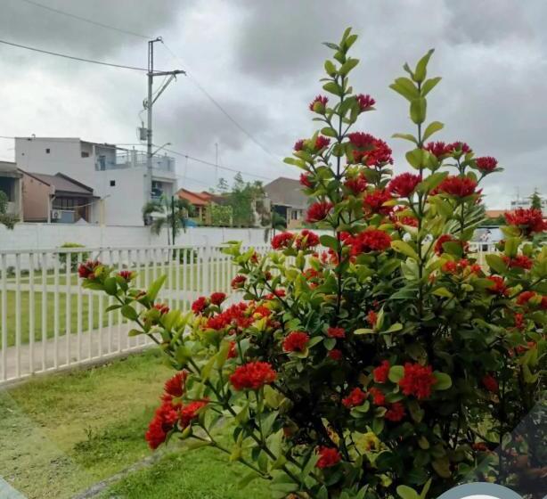 Апартаменты 1 Спальня, Odayaka Staycation Marilao Bulacan