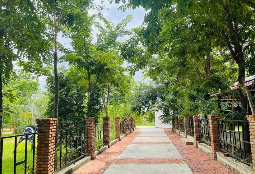 Семейный Номер, Bat Rice Resort