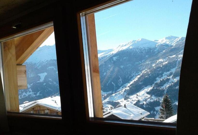 اتاق اکونومی, Ski