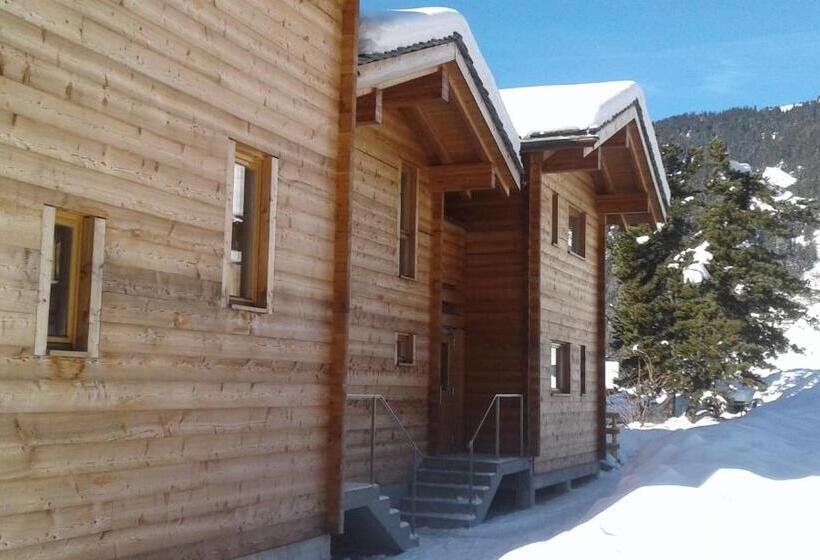 آپارتمان سوپریور 1 خوابه, Ski