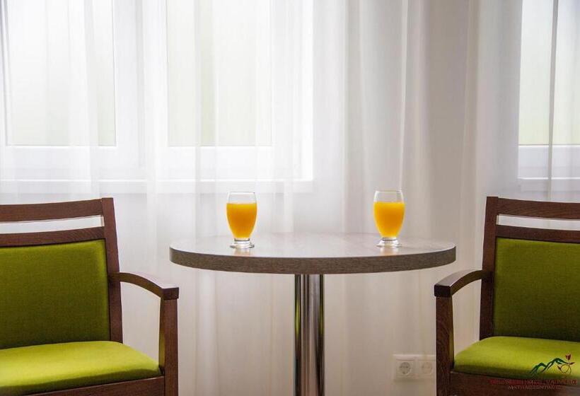 اتاق استاندارد, Selfness Hotel Vadvirág Mátraszentimre