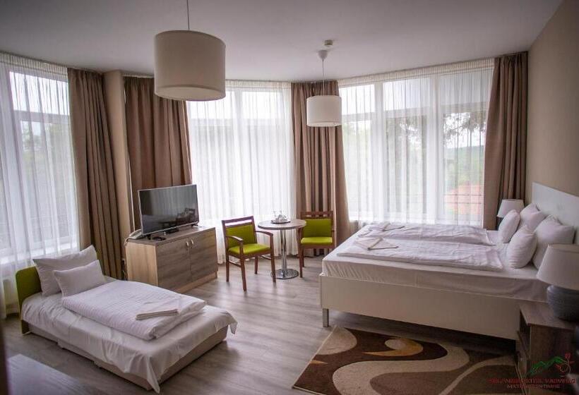 Номер Стандарт, Selfness Hotel Vadvirág Mátraszentimre