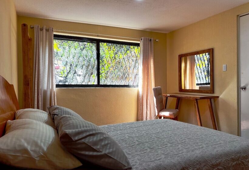 スタンダードルーム, Discover Condesa Ideal Location