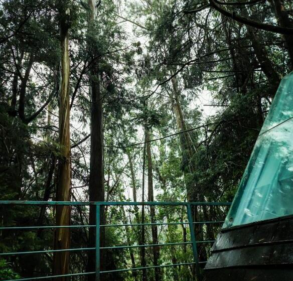 标准间, Woodhouse By Bob