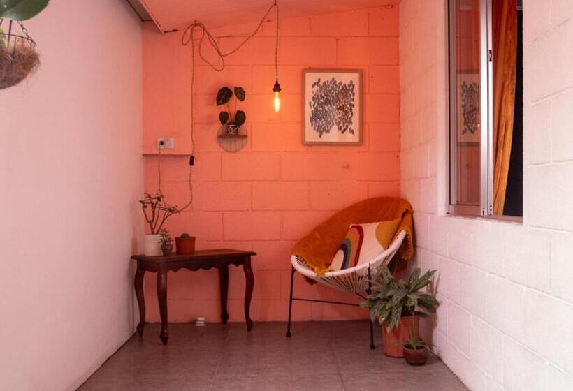 浴室共有スタンダード４人用ルーム, Lolas Hostal, Habitacion Exclusiva Para Mujeres, 2 Camarotes, Precio Por Cama