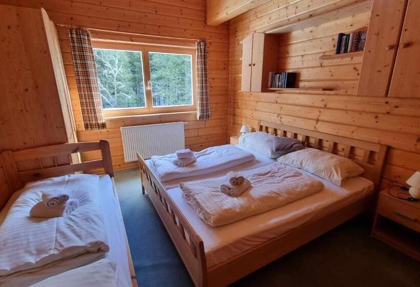 Апартаменты 1 Спальня, Pension Bischof Lachtal