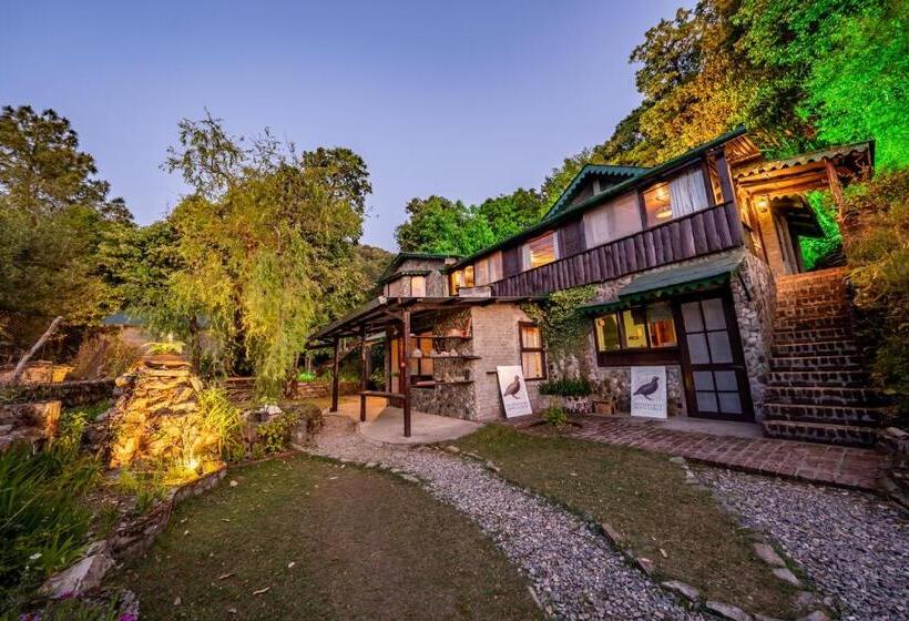 标准间, Mountain Quail Lodge