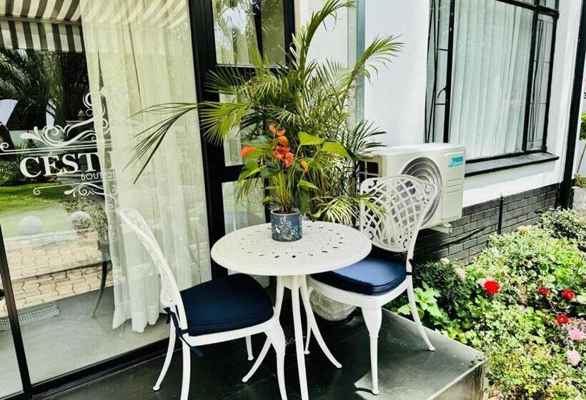 اتاق پرمیوم, C Est La Vie Boutique