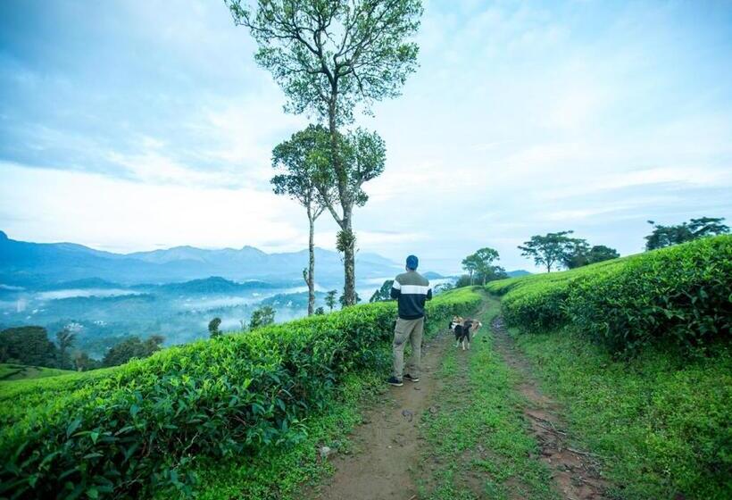 Номер Стандарт Вид на Горы, Wild Courtyard Wayanad Resort