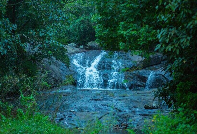 Номер Deluxe, Wild Courtyard Wayanad Resort