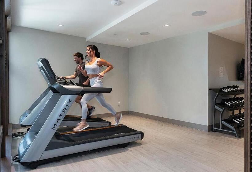 Апартаменты Deluxe 1 Спальня, Lift By All Seasons Resort Lodging