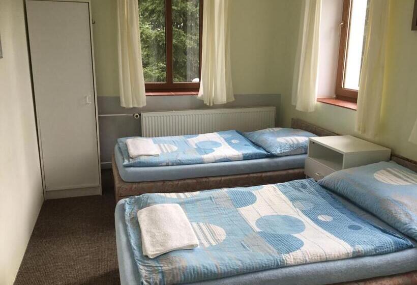اتاق استاندارد, Penzion Real