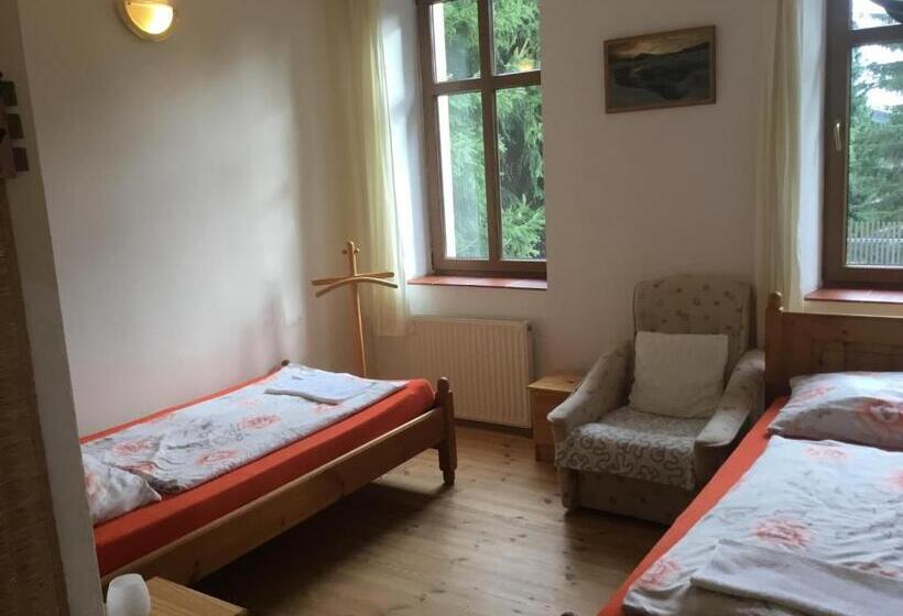 اتاق استاندارد, Penzion Real