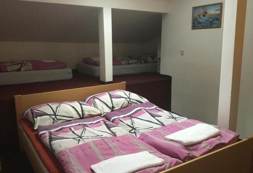 اتاق استاندارد چهار تخته, Penzion Real