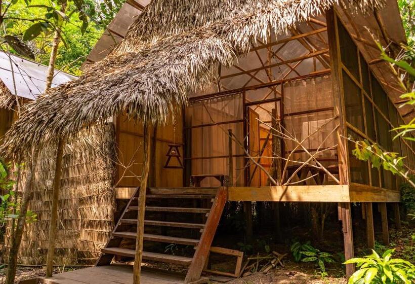 اتاق استاندارد با تخت بزرگ, Family Hotel Purma Caspi On The Jungle Lake