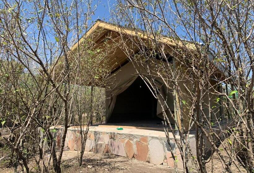 اتاق استاندارد, Resian Mara Camp