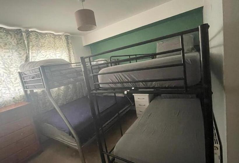 اتاق استاندارد چهار تخته, Dublin Airport, Dcu