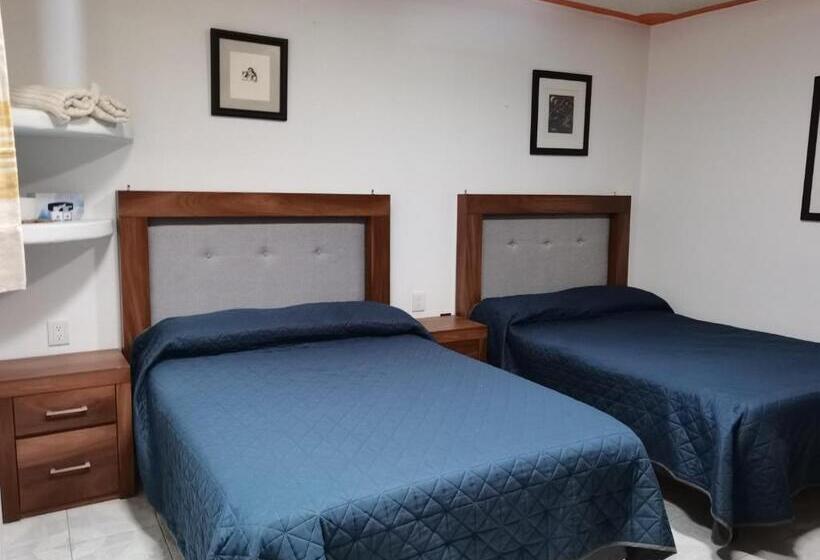 اتاق استاندارد, Encuentro Maguey