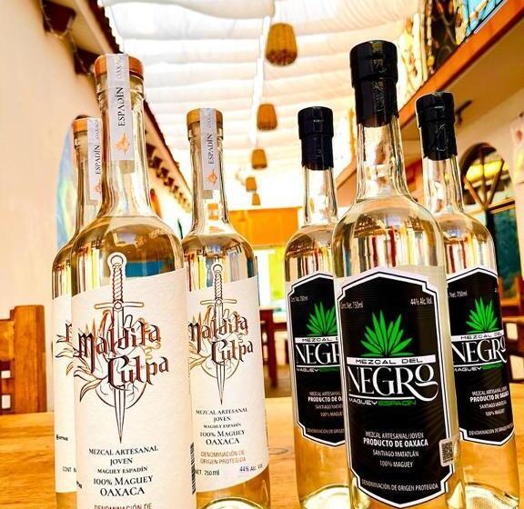 اتاق استاندارد, Encuentro Maguey
