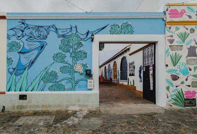 اتاق استاندارد, Encuentro Maguey