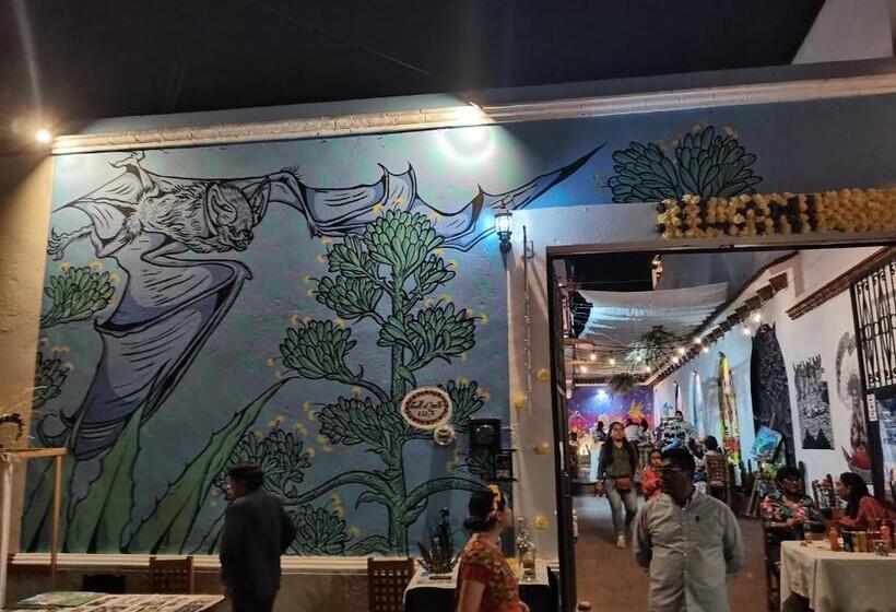 اتاق استاندارد با سرویس بهداشتی مشترک, Encuentro Maguey