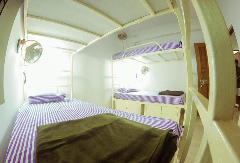 共用房间的床, Bonds Hostel