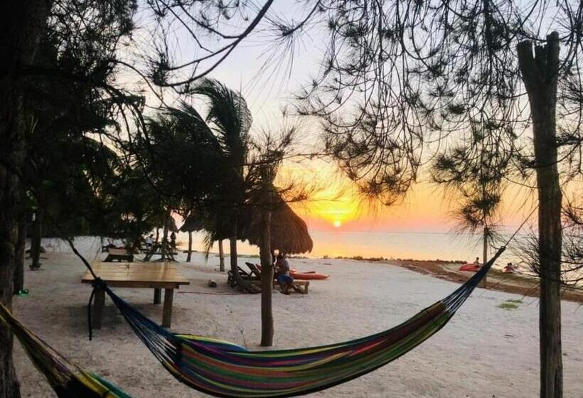 オーシャンビュースタンダードルーム, Cabañas Perla Escondida