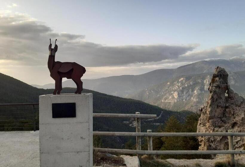 스탠다드 룸, Coll De Port