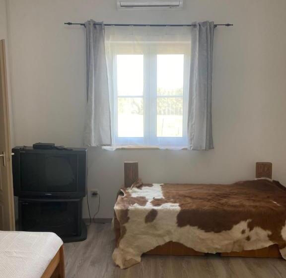 Номер Стандарт, Tündér Pension