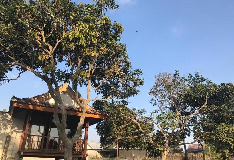 Номер Стандарт с Террасой, Muni S Lombok Bungalow
