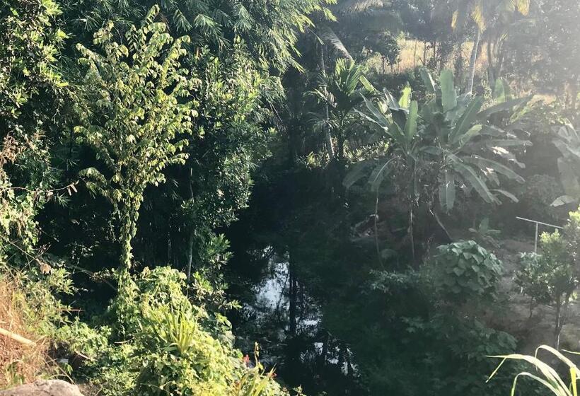 Номер Стандарт с Террасой, Muni S Lombok Bungalow