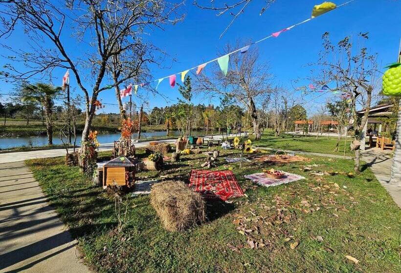 اتاق استاندارد, Iveriabeach