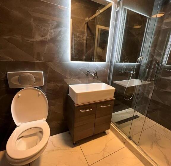 Номер Deluxe, Altstadt Hotel Schwanen