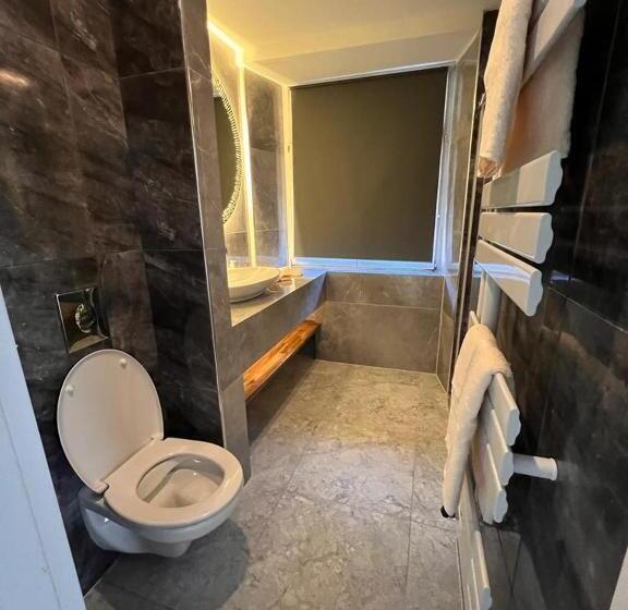 Люкс Повышенной Комфортности, Altstadt Hotel Schwanen