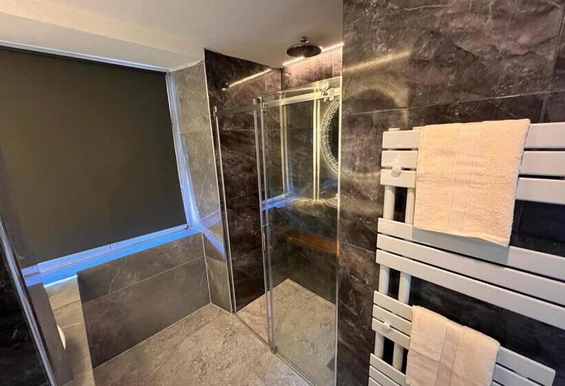 Люкс Повышенной Комфортности, Altstadt Hotel Schwanen