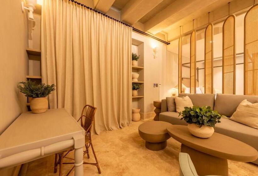חדר סטודיו סטנדרד, Cinco Quintas Hotel Boutique By Soho