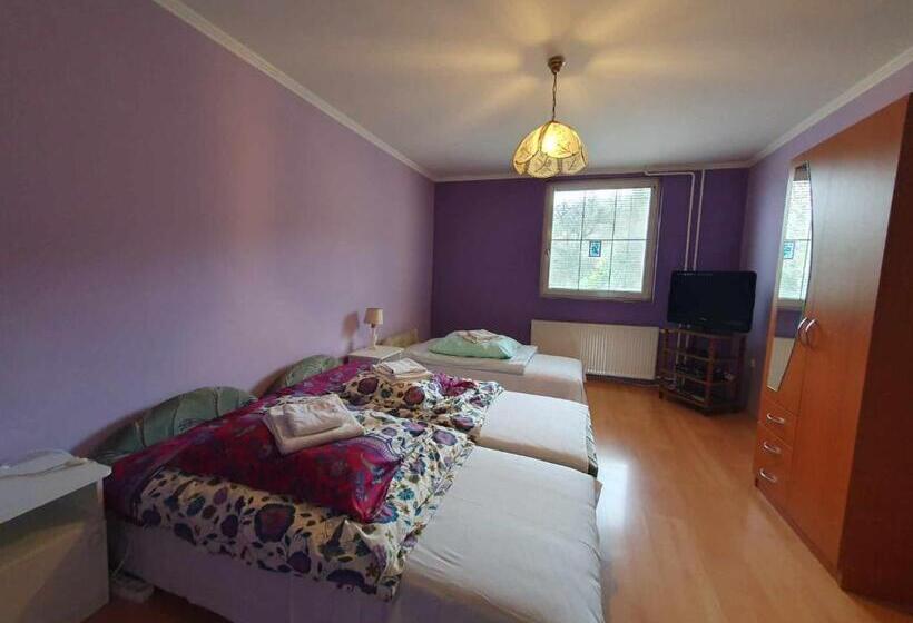 Апартаменты 1 Спальня с Террасой, Egervári Béres Vendégház  Középső Apartman
