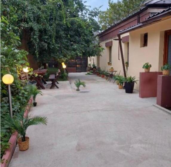 اتاق استاندارد, Ambiennt