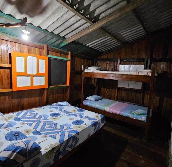标准三人间, Hostal Bahía Solano Herping