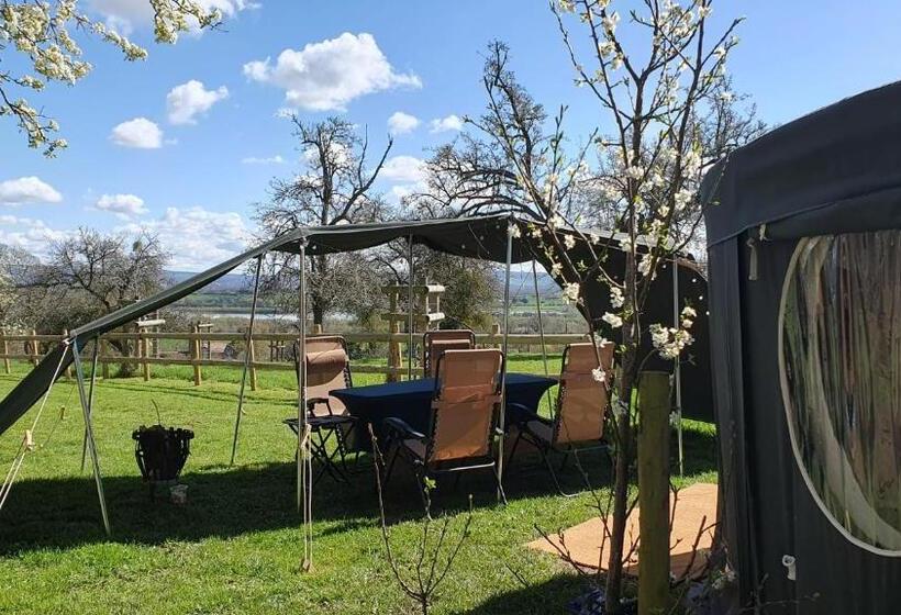 Семейный Номер Совместный Санузел, Willow Hill Farm Club