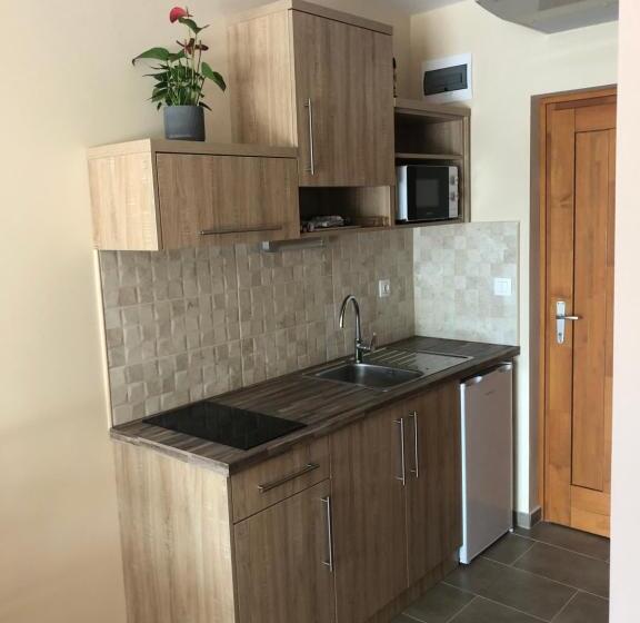 آپارتمان 1 خوابه با تراس, Castellum Apartmanház
