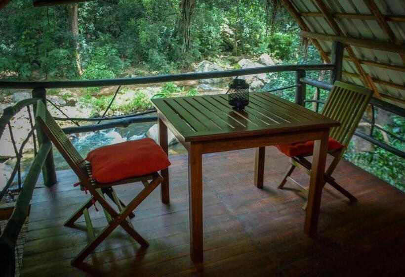 Номер Стандарт Совместная Ванная, Ella Jungle Resort