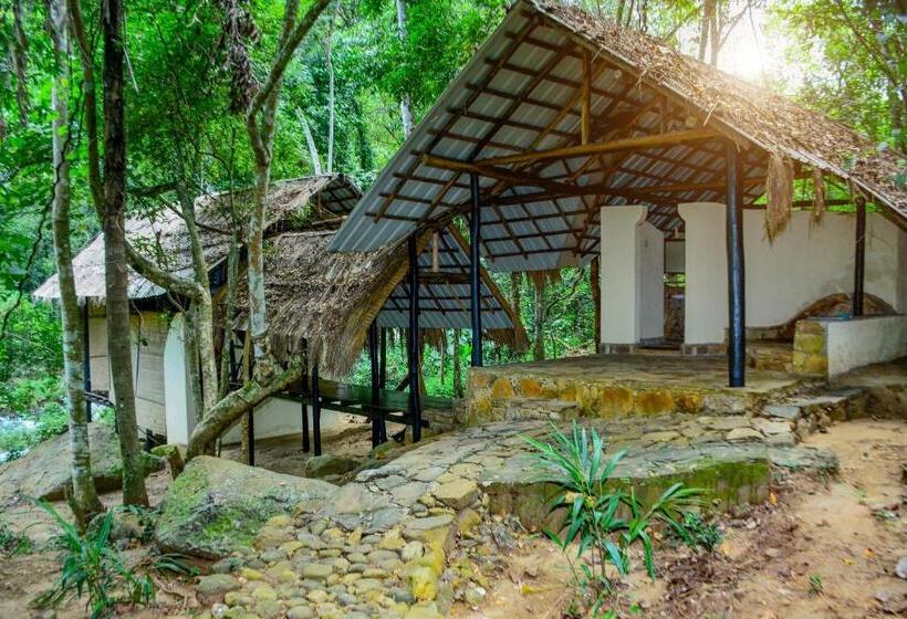 Номер Стандарт Совместная Ванная, Ella Jungle Resort