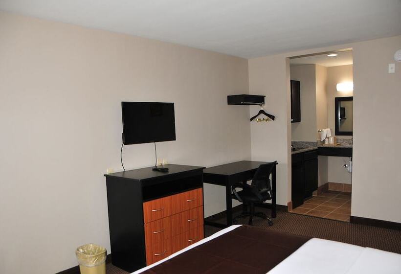 스탠다드 싱글 룸, Paradise Inn & Suites