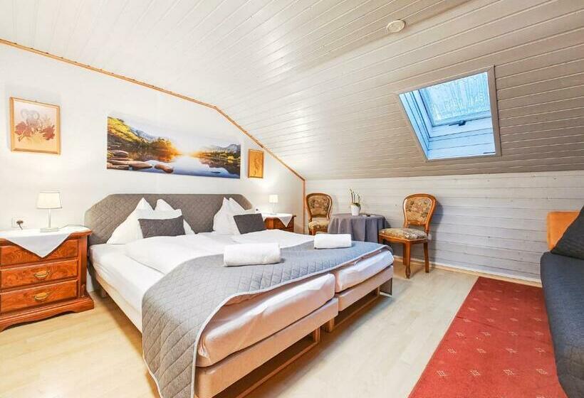 Номер Стандарт, Partenerhof